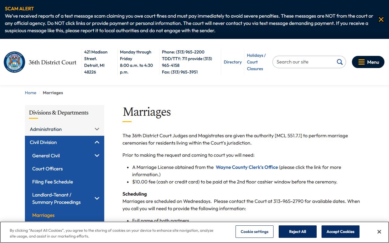 36th District Court wedding ceremonies page showing requirements for Detroit couples