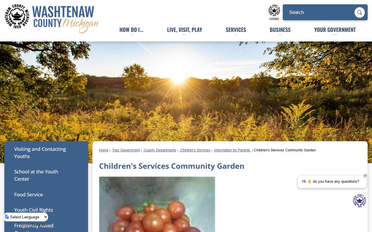 Washtenaw County Clerk page showing marriage license application details